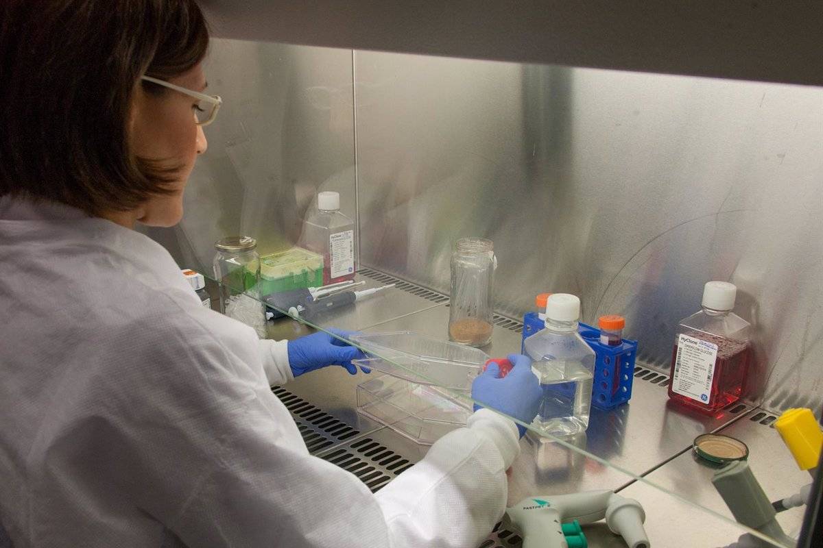 El Programa Nicolás Monardes, inaugurado en 2012, ha permitido incorporar a 59 investigadores biomédicos a las plantillas de los centros y hospitales del SAS. Foto: JUNTA DE ANDALUCÍA.
